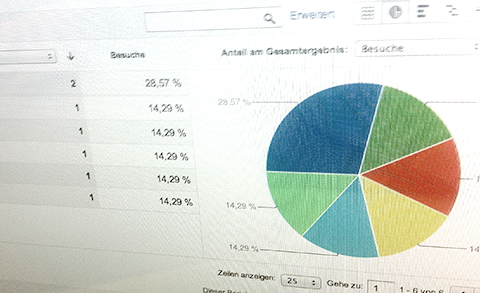 SEM und wie schnell es gehen kann